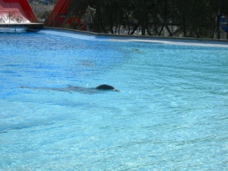 Crociera_10