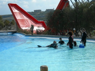 Crociera_36