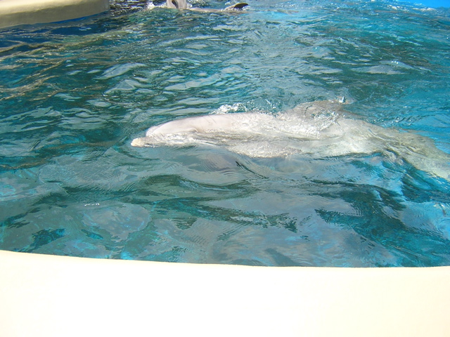 DSCN0678