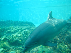 DSCN0662
