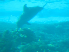 DSCN0664