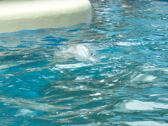 DSCN0669