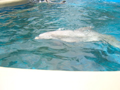 DSCN0678
